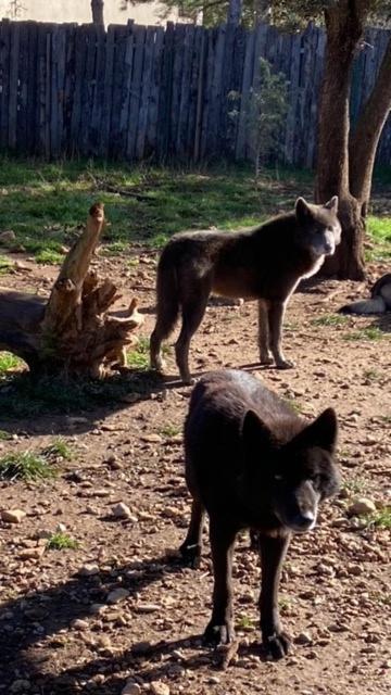 Les Gites Du Parc Animalier De Ginasservis Exterior photo